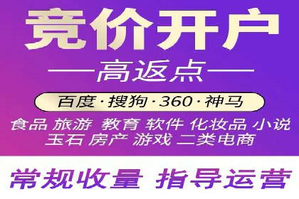百度推广公司案例研究：从失败中汲取经验，实现华丽转身